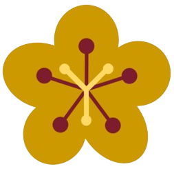 CISVT