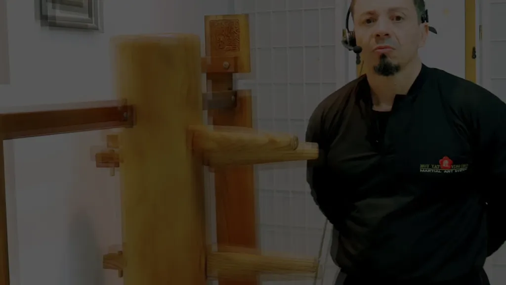 Mentoria Online com Sifu Monnerat - Mensalidade: